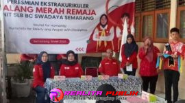Oplus_16908288
