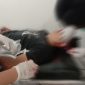Gugur Saat Bertugas, Anggota Polda Lampung Tewas Ditembak Pelaku Curanmor. 