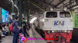 Oplus_16908288