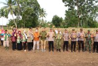 Dukung Ketahanan Pangan, Kapolres Lampung Utara Hadiri Panen Raya Jagung Serentak di Abung Timur