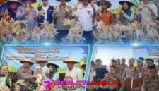 Oplus_16908288
