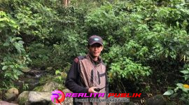 Oplus_16908288