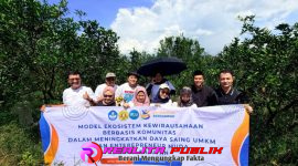 Oplus_16908288