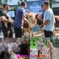 Oplus_16908288