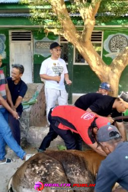 berita-rekomendasi-foto