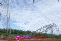 Oplus_16908288