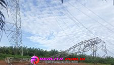 Oplus_16908288