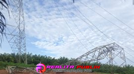 Oplus_16908288