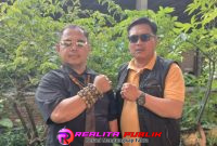 Oplus_16908288