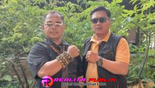 Oplus_16908288