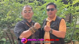 Oplus_16908288