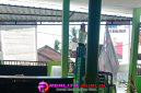 Memasuki Masa Tenang, Panitia Pilkades PAW Sumberanyar Bersihkan APK