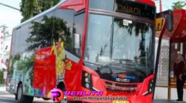 Oplus_16908288