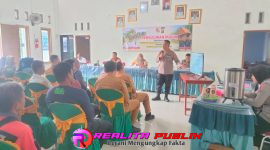 Oplus_16908288