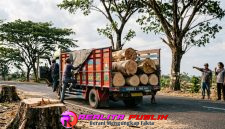 Gambar ilustrasi