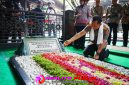 Oplus_16908288