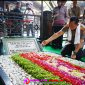 Oplus_16908288