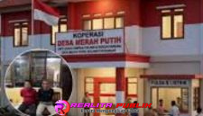Oplus_16908288