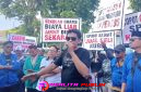 Oplus_16908288
