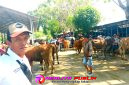 Pasar Seninan Besuki, Situbondo, Jawa Timur. (Photo: realitapublik.id/kim)