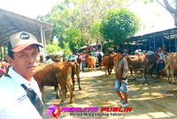 Pasar Seninan Besuki, Situbondo, Jawa Timur. (Photo: realitapublik.id/kim)