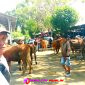 Pasar Seninan Besuki, Situbondo, Jawa Timur. (Photo: realitapublik.id/kim)