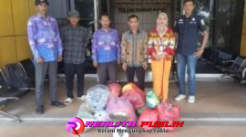Oplus_16908288