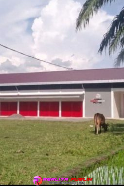 berita-rekomendasi-foto