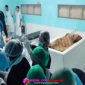 Oplus_16908288