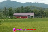 Oplus_16908288