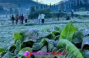 Oplus_16908288