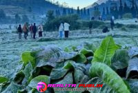 Oplus_16908288