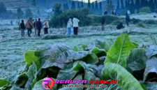 Oplus_16908288