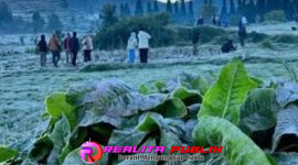 Oplus_16908288