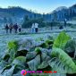 Oplus_16908288