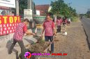 Oplus_16908288