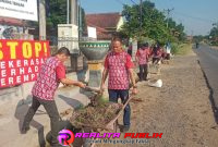 Oplus_16908288
