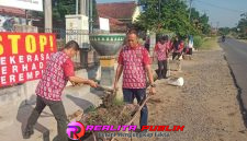 Oplus_16908288