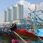 Oplus_16908288