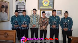 Oplus_16908288