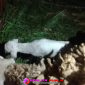 Oplus_16908288
