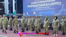 Oplus_16908288
