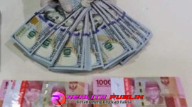 Oplus_16908288