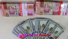 Oplus_16908288