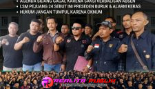 Oplus_16908288