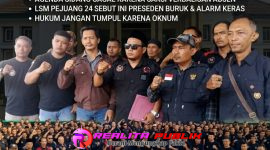 Oplus_16908288