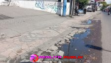 Oplus_16908288