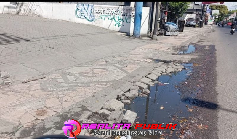 Oplus_16908288