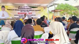 Oplus_16908288