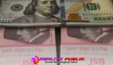 Oplus_16908288